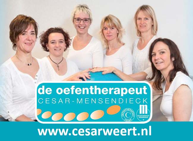 Logo  CESAR WEERT